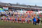 Senior Boys 2024 English Schools Cross Country Champs., Pontefract, March 16th.  Photo: David T. Hewitson/Sports for All Pics